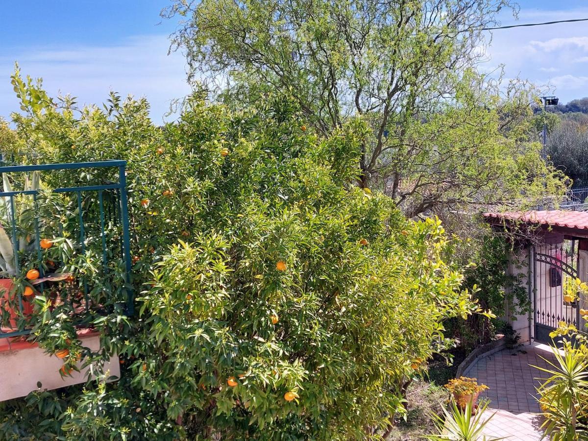 B&B Villa Mia Lanciano Dış mekan fotoğraf