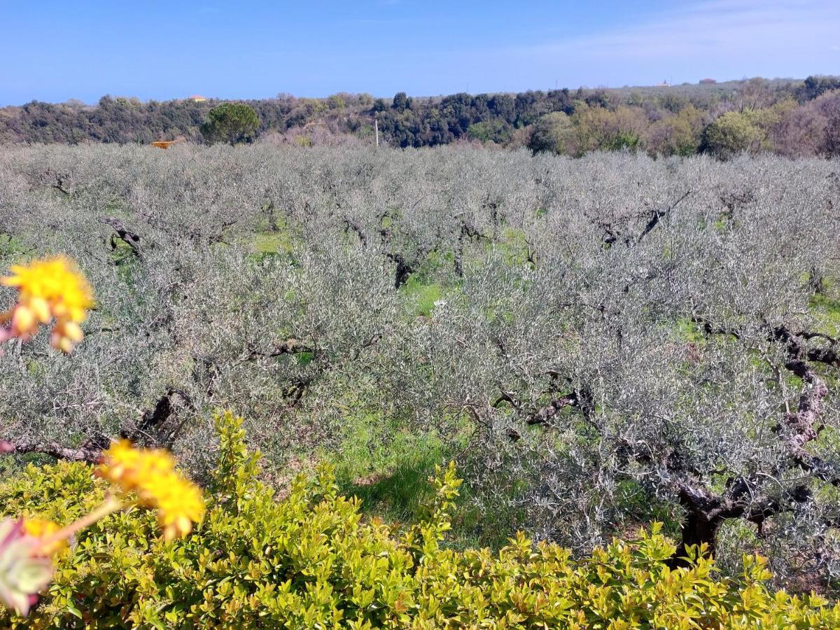 B&B Villa Mia Lanciano Dış mekan fotoğraf